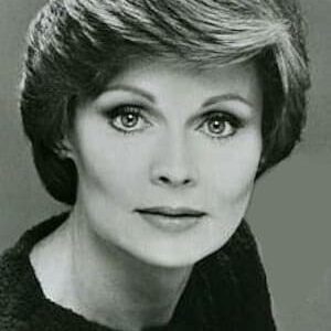 تصویر هنرمند Shannon Farnon