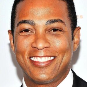 تصویر هنرمند Don Lemon