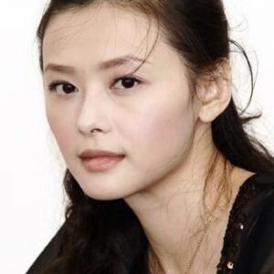 تصویر هنرمند Shu-shen Hsiao