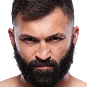 تصویر هنرمند Andrei Arlovski