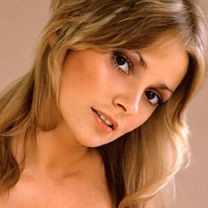 تصویر هنرمند Cynthia Wood