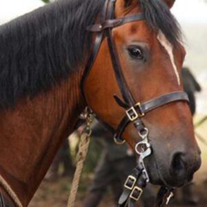 تصویر هنرمند Finder's Key