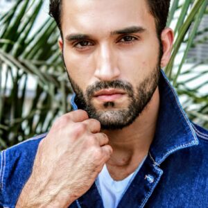 تصویر هنرمند Gurfateh Pirzada