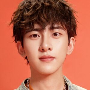 تصویر هنرمند Wang Jiaxuan