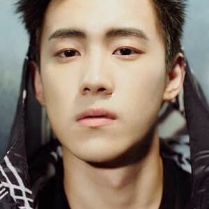 تصویر هنرمند Yan Zidong