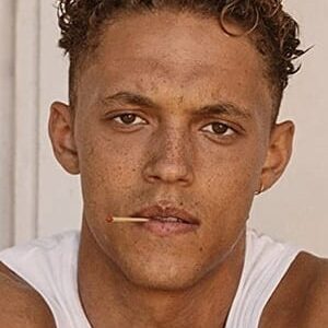 تصویر هنرمند Orlando Norman