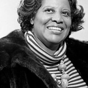 تصویر هنرمند Virginia Capers