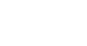 لوگوی رسمی فیلم Leap Year (2010)