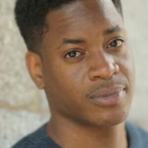 تصویر هنرمند Tolu Ogunmefun