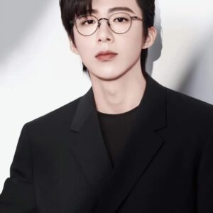 تصویر هنرمند Liu Yuning