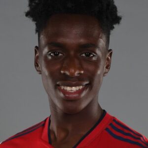 تصویر هنرمند Albert Sambi Lokonga