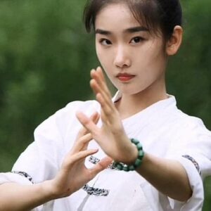 تصویر هنرمند Qi Tianqing