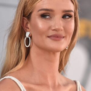 تصویر هنرمند Rosie Huntington-Whiteley
