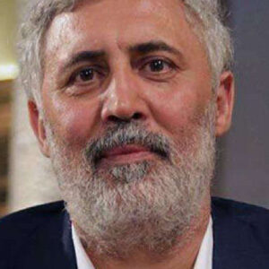 تصویر هنرمند Francesco Piccolo