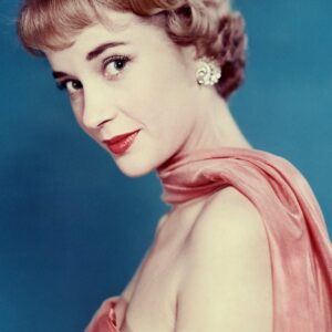 تصویر هنرمند Sylvia Syms