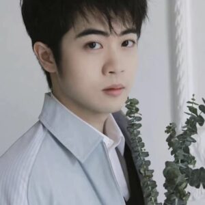 تصویر هنرمند Yang Tianxiang