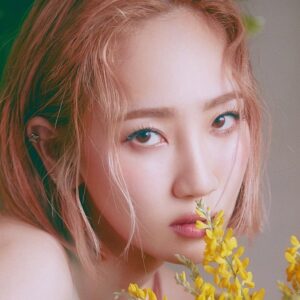 تصویر هنرمند Park Ye-eun