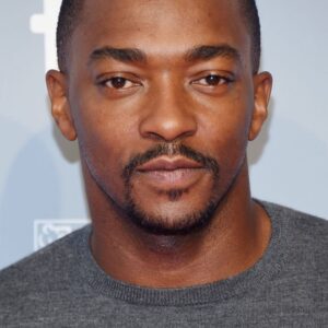 تصویر هنرمند Anthony Mackie