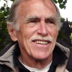 تصویر هنرمند David Chapman