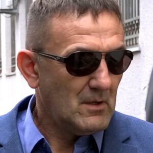 تصویر هنرمند Radoje Jelić