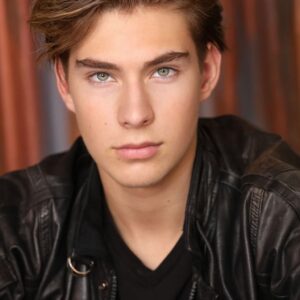 تصویر هنرمند Sawyer Sharbino