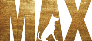 لوگوی رسمی فیلم Max (2015)