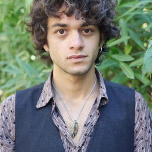 تصویر هنرمند Francesco Serpico