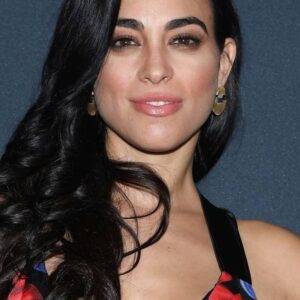 تصویر هنرمند Analay Rodríguez