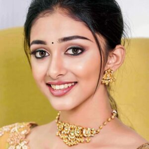 تصویر هنرمند Preity Mukhundhan