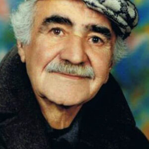 تصویر هنرمند Nematollah Gorji