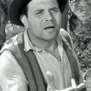 تصویر هنرمند Mario Meniconi