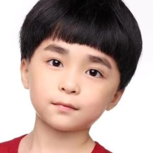 تصویر هنرمند Li Zhenzhen