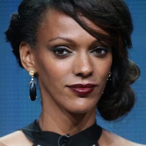 تصویر هنرمند Judi Shekoni