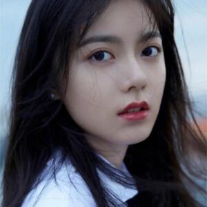 تصویر هنرمند Zhao Jinmai