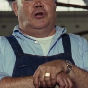 تصویر هنرمند Veriano Ginesi