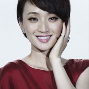 تصویر هنرمند Zhang Shu