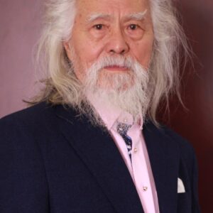 تصویر هنرمند Wang Deshun