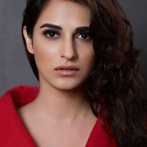 تصویر هنرمند Kashmira Irani