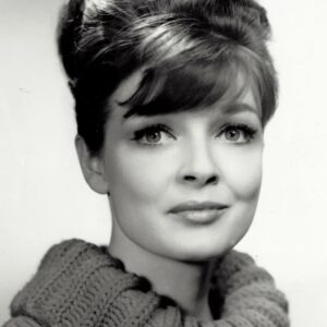 تصویر هنرمند Anita Gillette