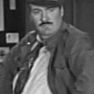 تصویر هنرمند Tiny Ward