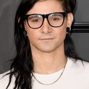 تصویر هنرمند Skrillex