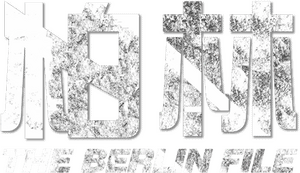 لوگوی رسمی فیلم The Berlin File (2013)