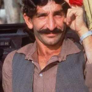 تصویر هنرمند Husnija Hasimovic