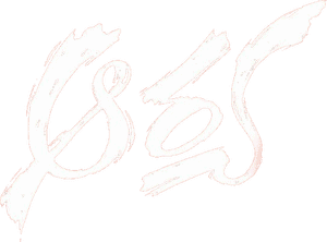 لوگوی رسمی فیلم Aarya (2004)