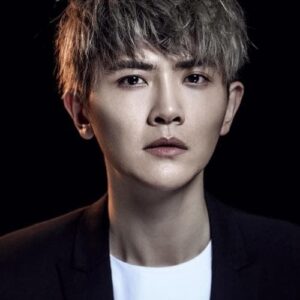 تصویر هنرمند Liu Duanduan