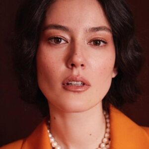 تصویر هنرمند Pelin Akil