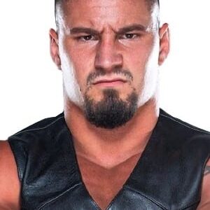 تصویر هنرمند Bronson Rechsteiner