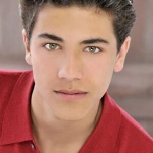 تصویر هنرمند Safi El Masri