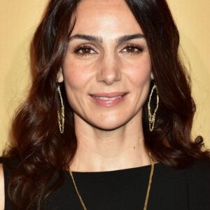 تصویر هنرمند Annie Parisse
