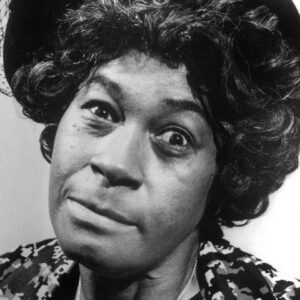 تصویر هنرمند LaWanda Page